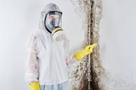 Mold Removal for HVAC Installations in Woodville, WI